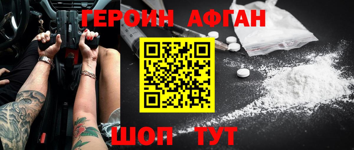 ГЕРОИН хмурый Новодвинск