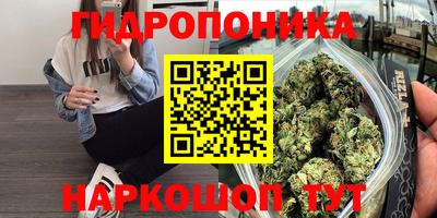 альфа пвп Севастополь
