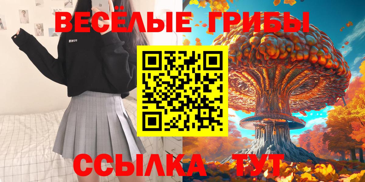 Новодвинск  Галлюциногенные грибы мицелий  Вход с VPN 