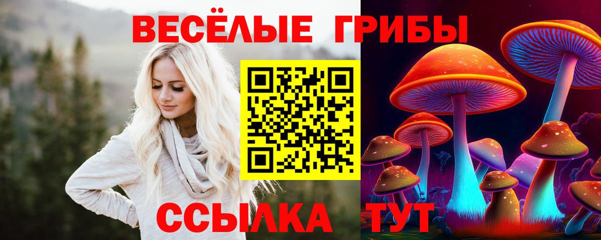 Псилоцибиновые грибы прущие грибы Новодвинск